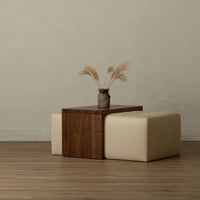 Twin Lakes Waterfall Table & Ottoman