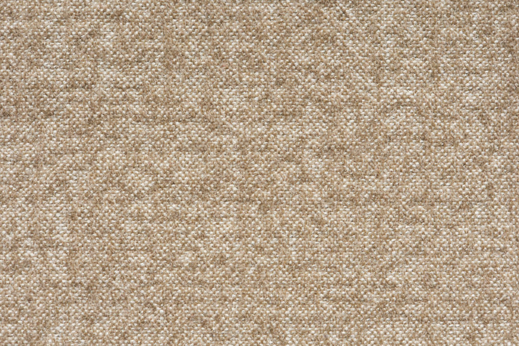 Lasco Olive