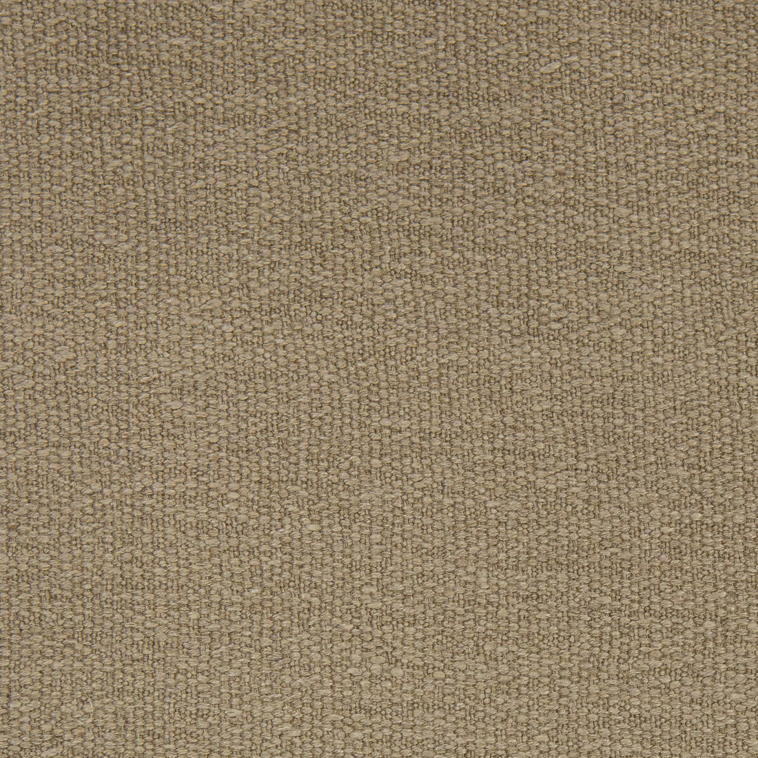 Belgium Oat